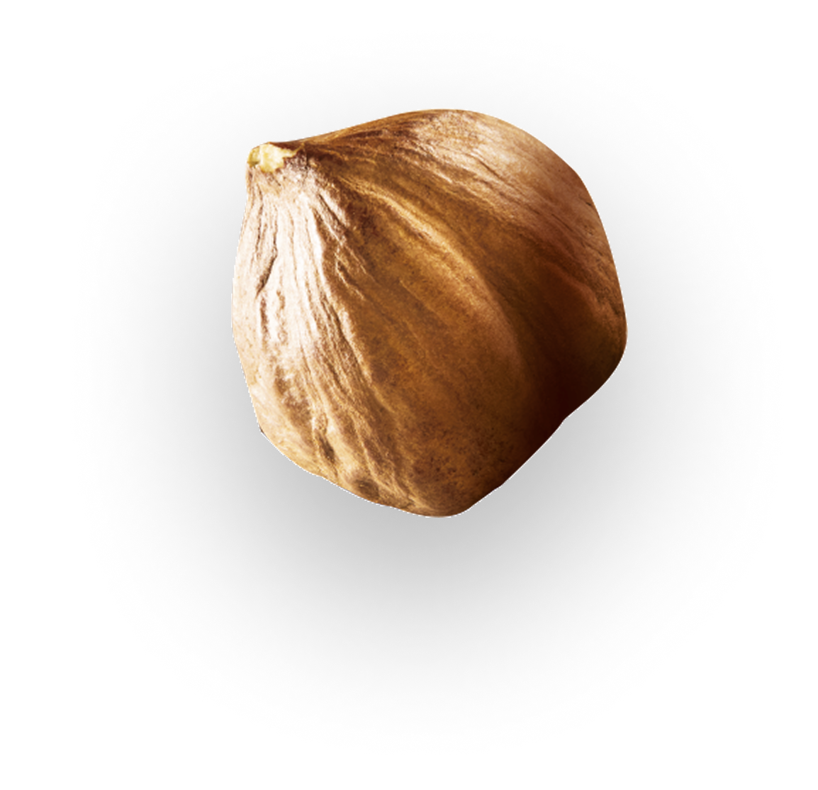 ghinda